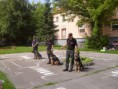 /album/fotogaleria-ako-psikovia-ukazali-svoju-poslusnost-a-odvahu/a2-jpg131/
