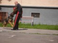 /album/fotogaleria-ako-psikovia-ukazali-svoju-poslusnost-a-odvahu/a5-jpg94/