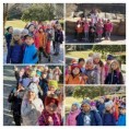 /album/navsteva-zoo/20220322-084435-collage-jpg/