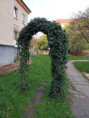 /album/fotogaleria-centrum-oddychu-a-zabavy/20231106-142813-jpg/